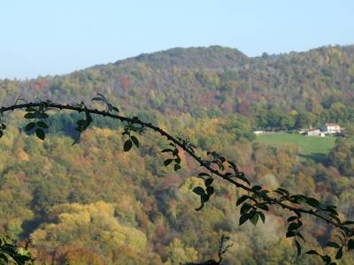 La vallée au coulleurs d'automne
